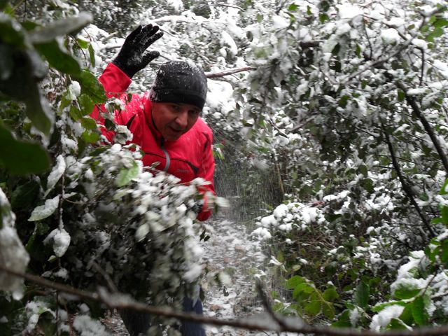 SDC10524 [640x480].JPG